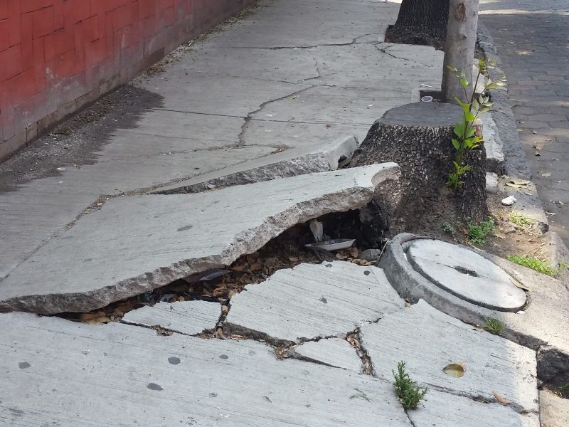 A severely damaged section of sidewalk in Mexico City.