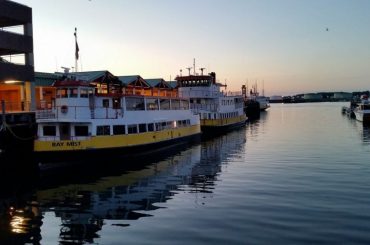 Two yellow and white ferry boats on the water at sunrise in Portland, Maine.
