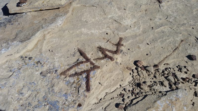 Ancient shrimp burrows in the sandstone at Chaco Canyon National Historical Park in New Mexico.