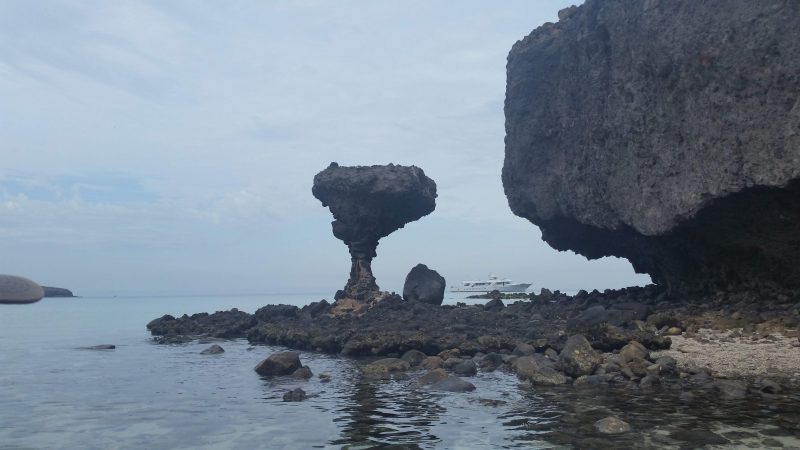 A mushroom-shaped rock formation.