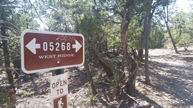 A brown directional sign on a hiking trail pointing right and left.