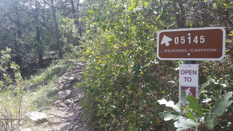 A brown sign pointing uphill on a hiking path surrounded by trees.