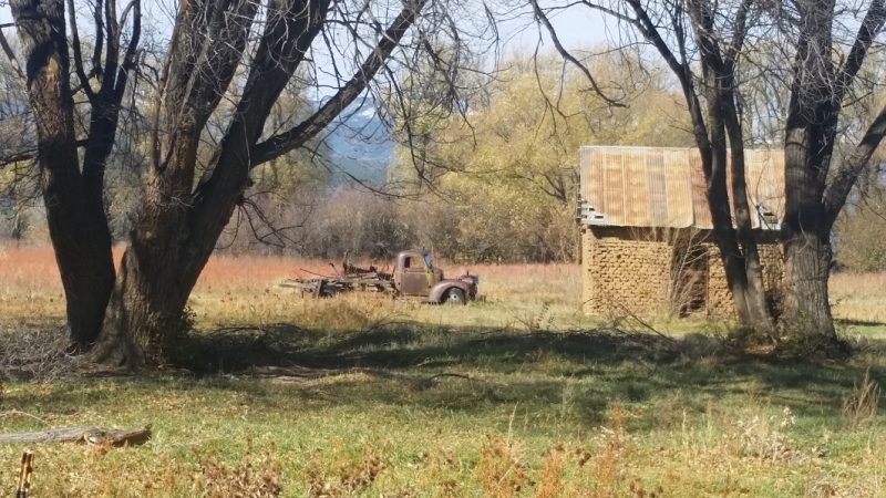 An old rusty pickup truck with a ruined adobe building in a field.