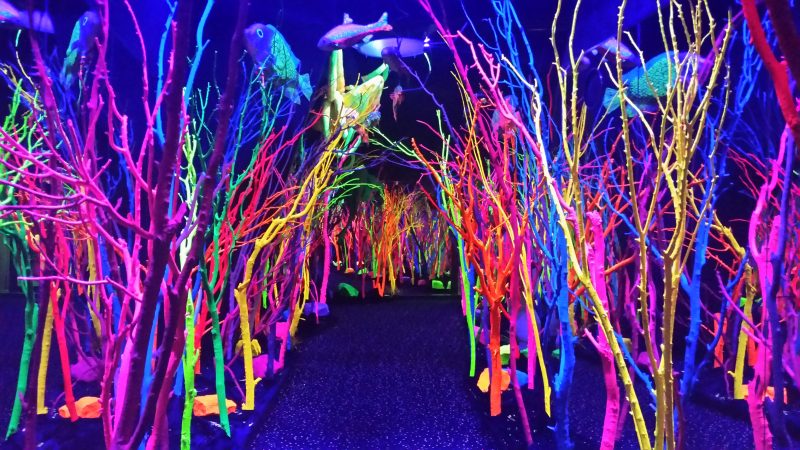 Brightly colored trees at Meow Wolf in Santa Fe; this is one of the most unique and colorful day trips from Albuquerque.