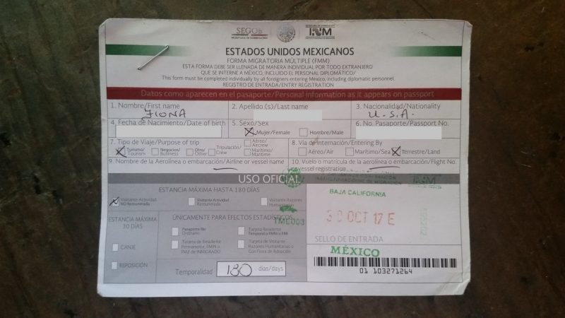 Green, red and white Mexican tourist card