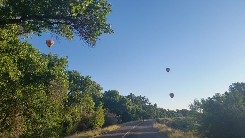 Hot air balloons in the sky over a paved trail lined with trees.