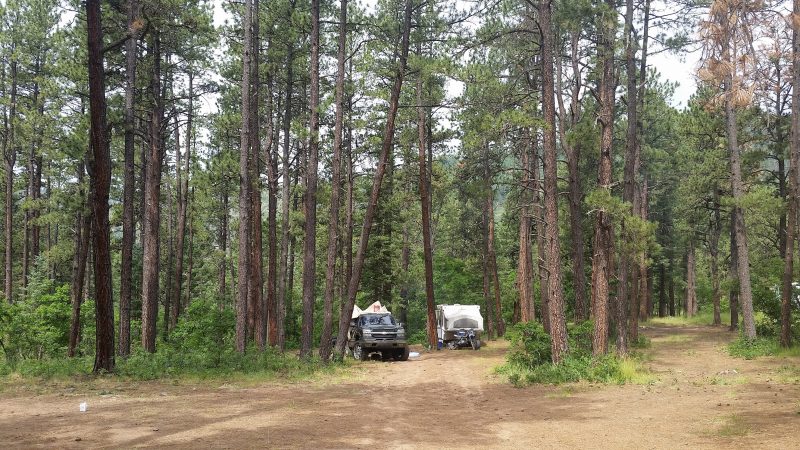 A truck and camper among pine trees at Links Tract Campground, one of the free Pecos, NM camping areas in the Santa Fe National Forest.
