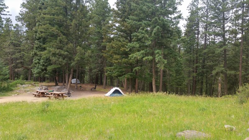 A tent in a clearing with pine trees in the background at Jack's Creek Campground near Pecos, New Mexico.