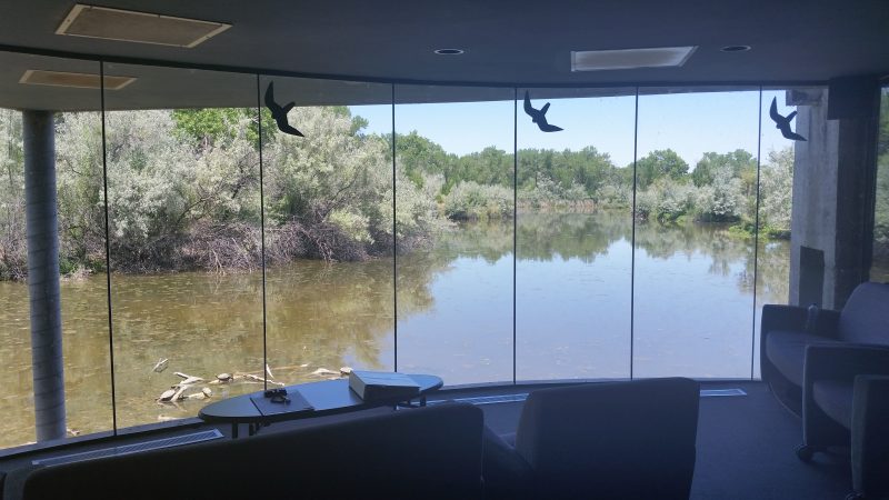 Windows overlooking a pond at the free Rio Grande Nature Center State Park located in Albuquerque, New Mexico.