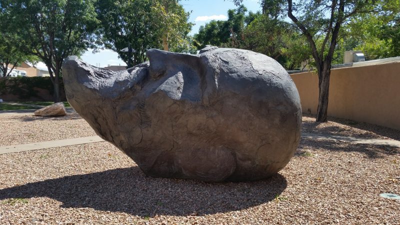 A sculpture of a large grey head laying on it's side in the back garden of the Albuquerque Museum in New Mexico.