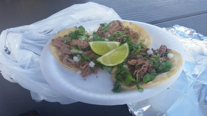 A styrofoam plate with three shredded meat tacos garnished with cilantro and lime wedges.