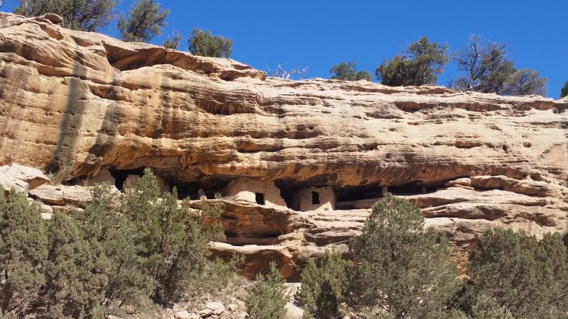 Several small cliff dwellings beneath a sandstone rock shelter near NM Route 53 in McKinley County, New Mexico.