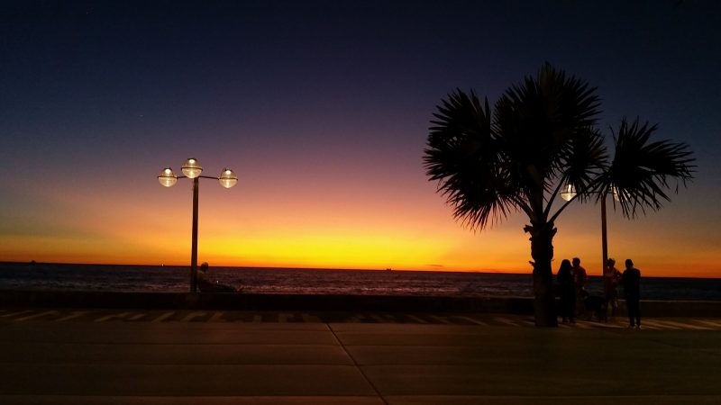 A silhouette of palm trees with a sunset on the horizon along the malecon in Mazatlan, Mexico.