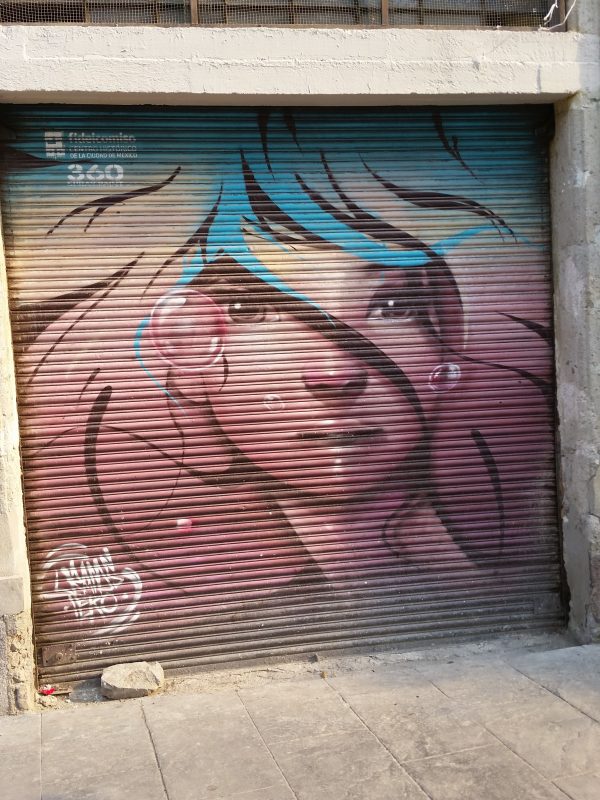 The image of a young woman with pink and blue hair painted on the metal shutters of a shopfront in Mexico City.