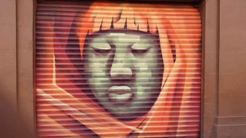 An example of street art on the steel shutters of a storefront.