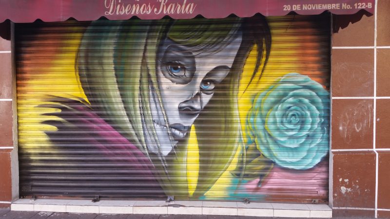 Shopfront shutters in Mexico City spray painted with an image of a woman with a skull-like face holding a blue rose.