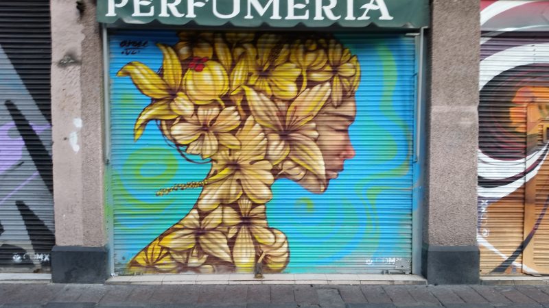 Storefront shutters in Mexico City painted with an image of a woman made from flowers.