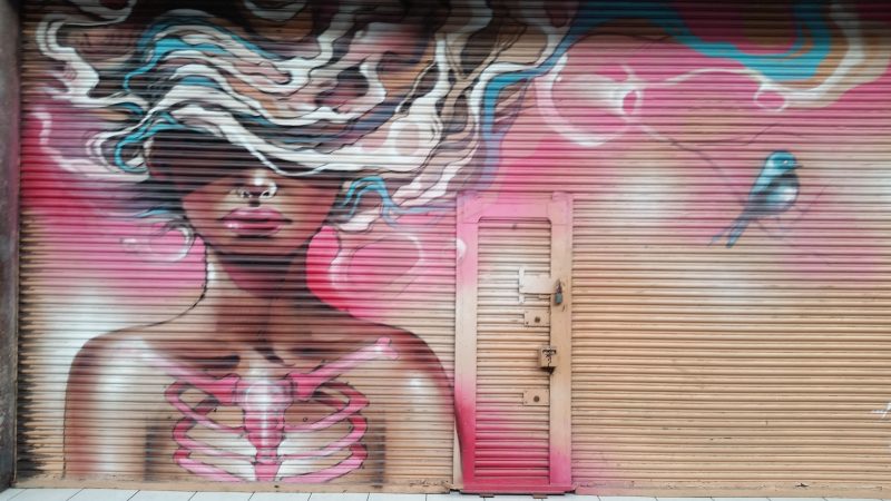 A spray painted mural on the metal shutters of a shopfront showing a woman with wispy hair - part of the unique creations that make up Mexico City's street art.