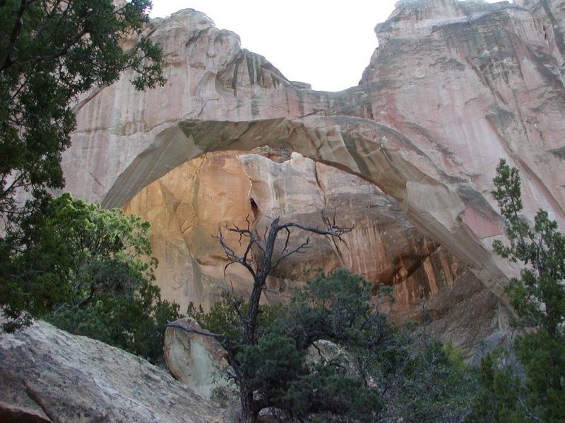 A natural arch rock formation in New Mexico.